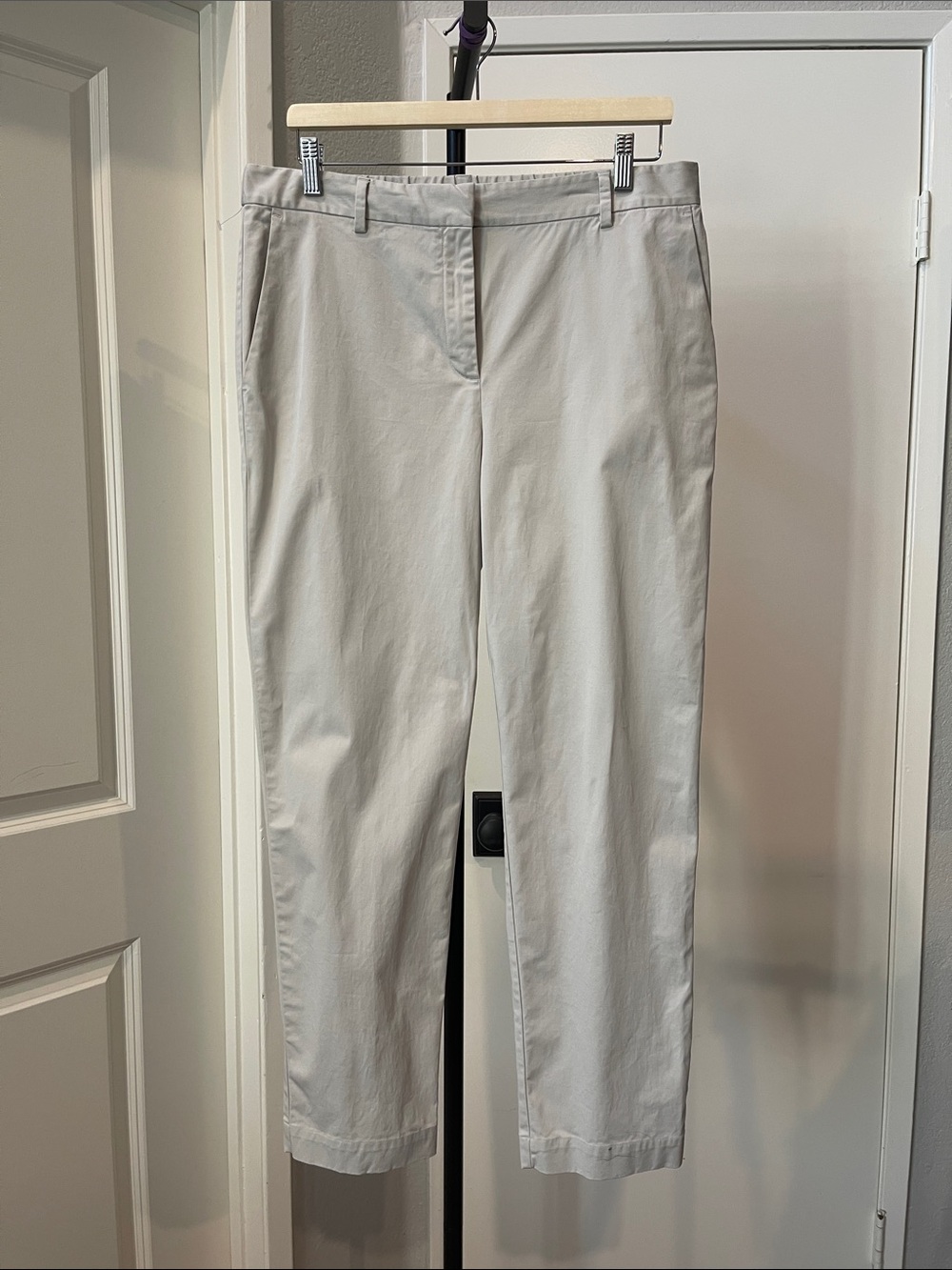 Eileen Fisher Soft Light Taupe Zip-Front Pants